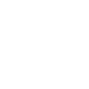 Mr Monkey Logo